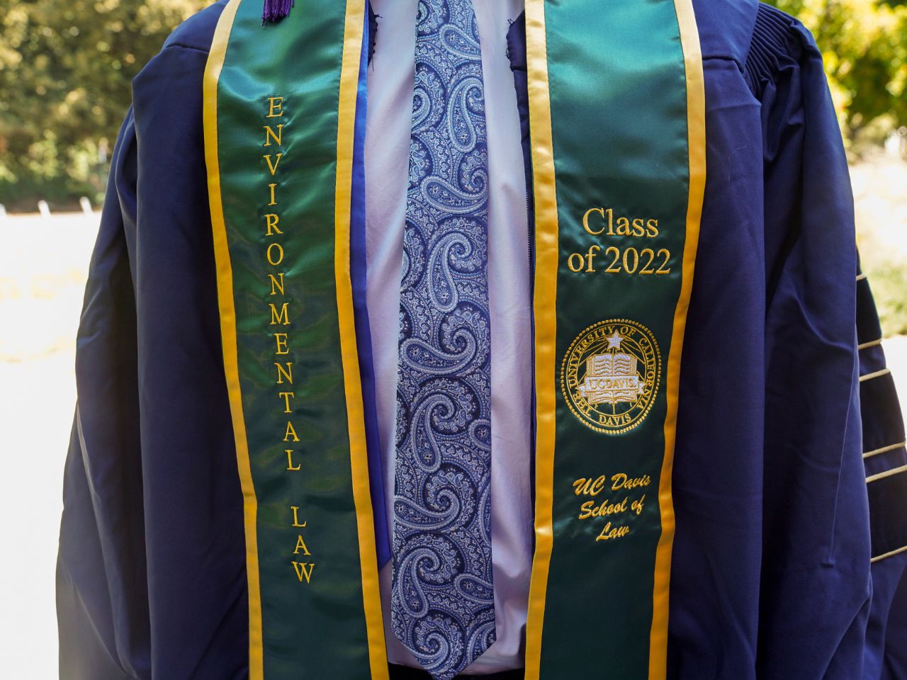 Should I go to law school? What you need to know UC Davis